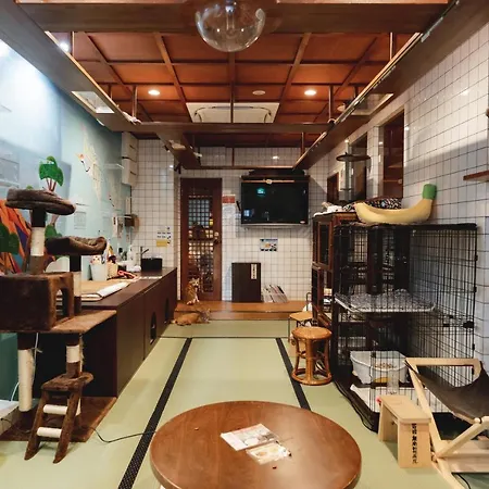 Cat Spa & Cat Ryokan By Neco Republic Osaka-3